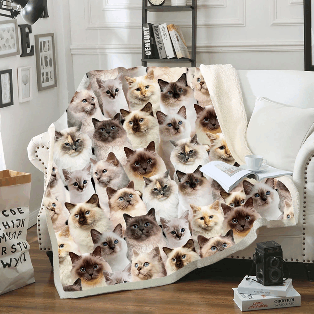 You Will Have A Bunch Of Birman Cats Sherpa Fleece Blanket
