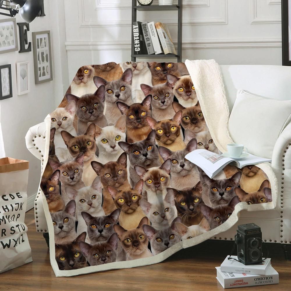 You Will Have A Bunch Of Burmese Cats Sherpa Fleece Blanket
