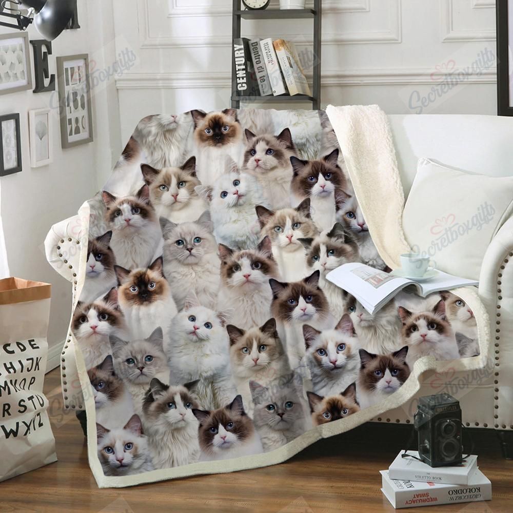 You Will Have A Bunch Of Ragdoll Cats – Fleece Blanket