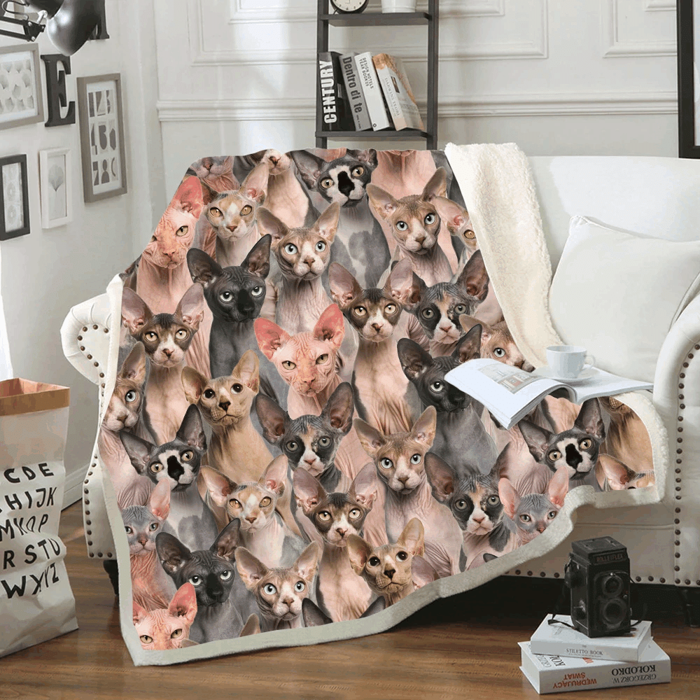 You Will Have A Bunch Of Sphynx Cats Sherpa Fleece Blanket